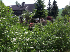 Ferienwohnung Aronia Garten Oberwiesenthal